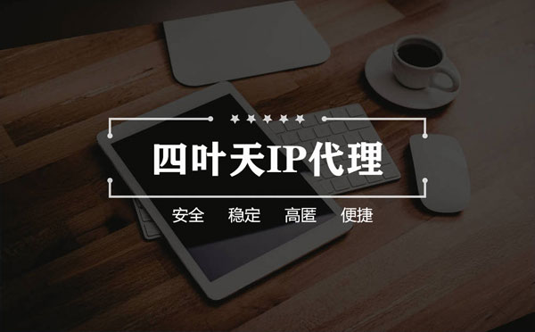 【吉安代理IP】如何快速搭建代理IP？怎么检查代理的效果？